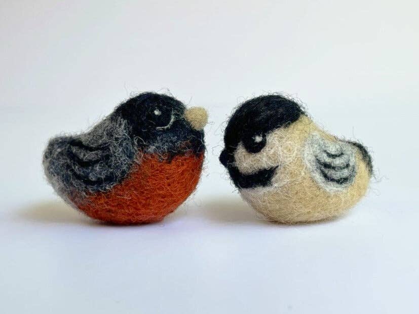 Backyard Birds Beginner Needle Felting Mini-Kit