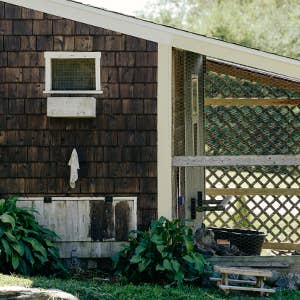 Gardening With Chickens: Planning, Planting, and Harvesting by Lisa Steele
