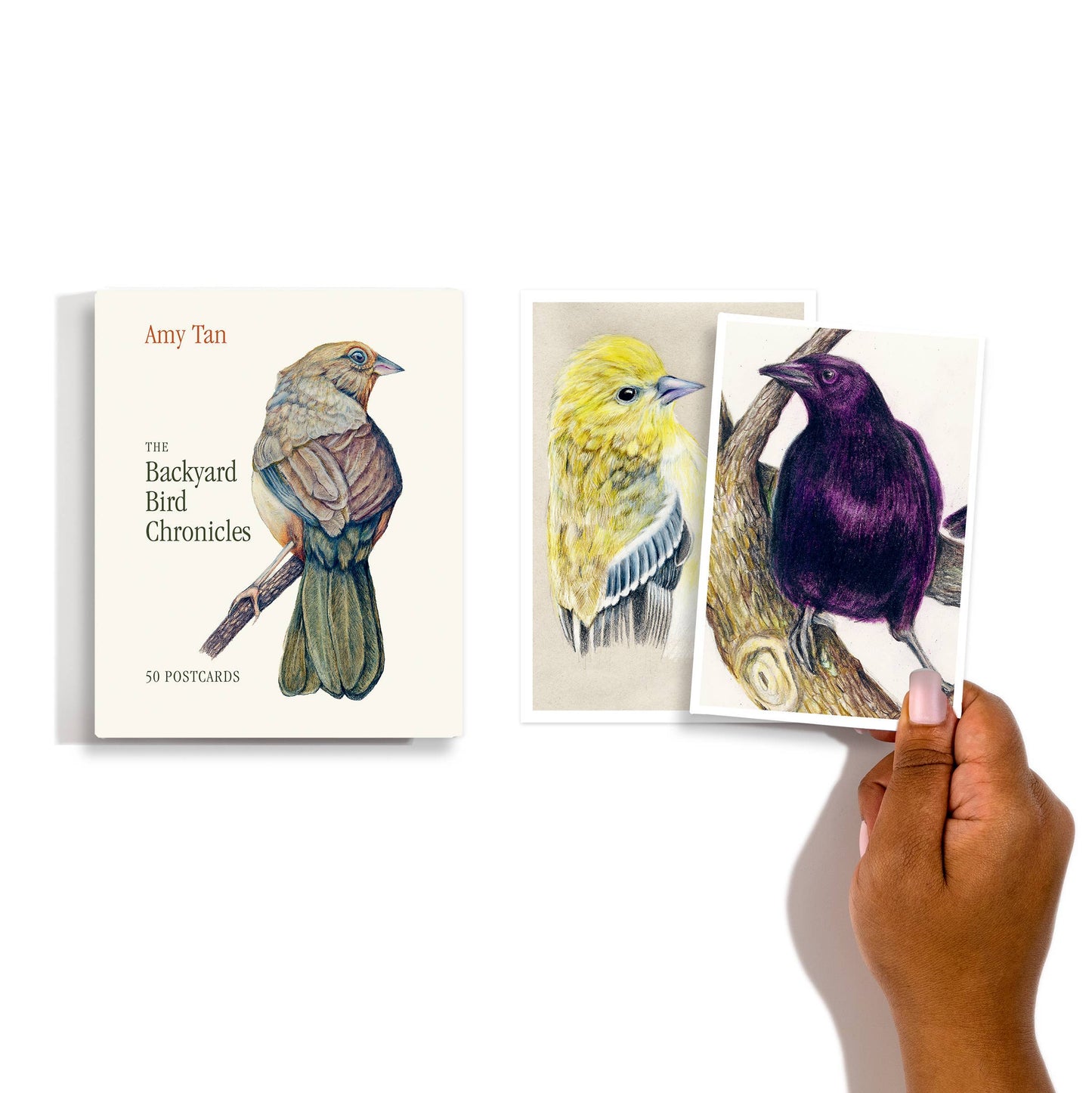 The Backyard Bird Chronicles: 50 Postcards