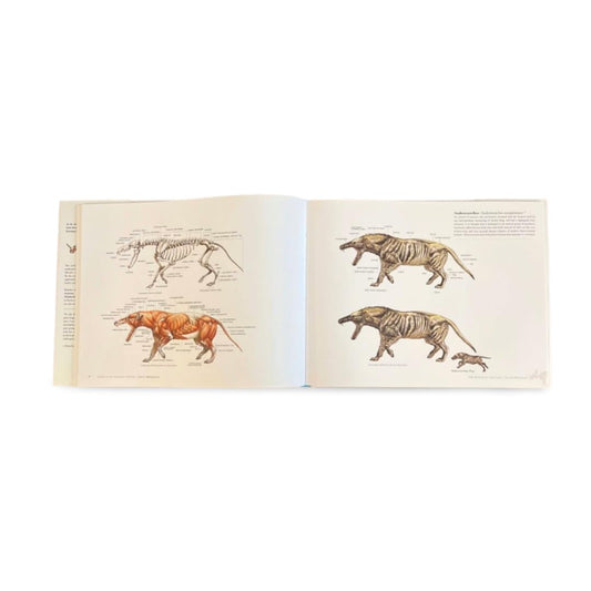 Science of Creature Design: Understanding Animal Anatomy: Understanding Animal Anatomy