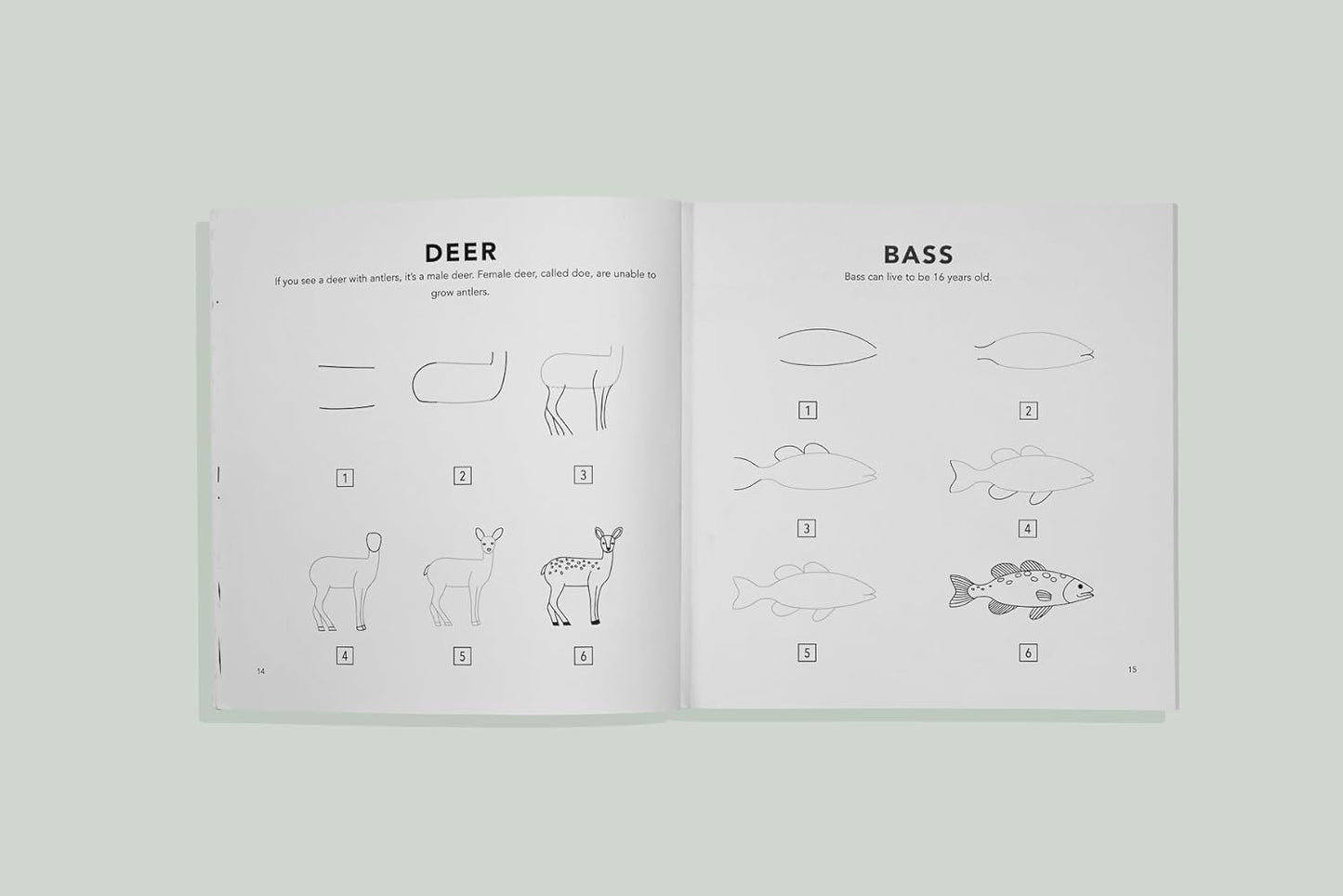 Mushrooms & Woodland Creatures: How to Draw Books for Kids with Woodland Creatures, Bugs, Plants, and Fungi