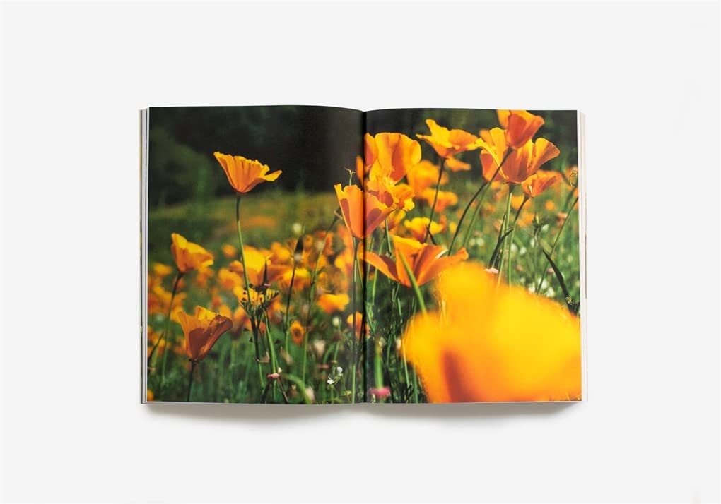 Plants For the People: A Modern Guide to Plant Medicine by Erin Lovell Verinder, Georgia Blackie (Photographer)