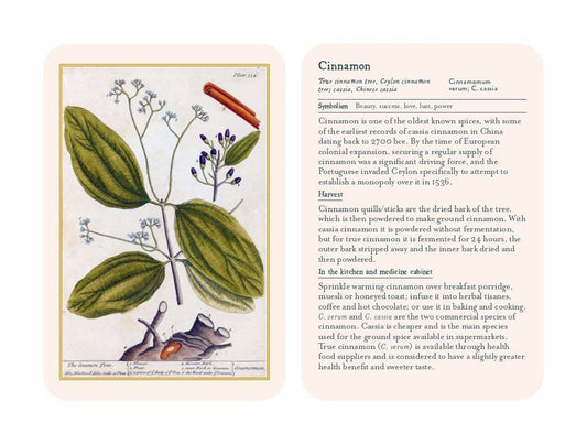 Healing Plants: 50 Botanical Cards Illustrated by the Pioneering Herbalist Elizabeth Blackwell: 50 Botanical Cards Illustrated by the Pioneering Herbalist Elizabeth Blackwell