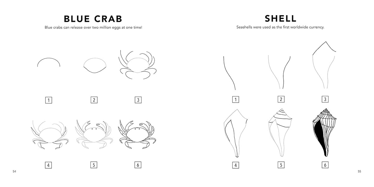 How to Draw Under the Sea for Kids