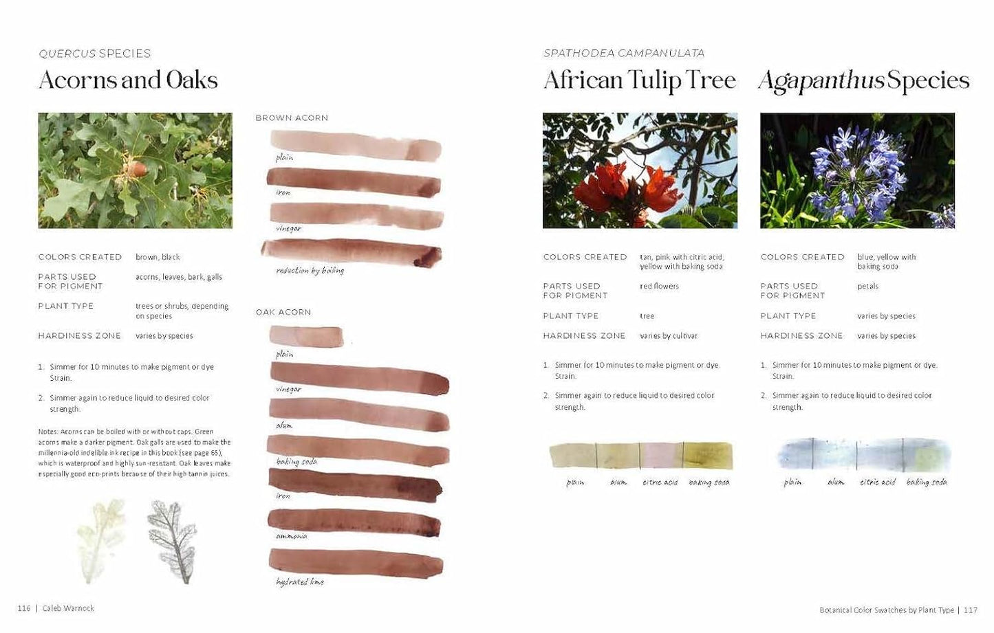 1000 Botanical Colors: Make Your Own Dyes, Paints, Inks, Stains, and Pottery Paints from 250 Plants by Caleb Warnock