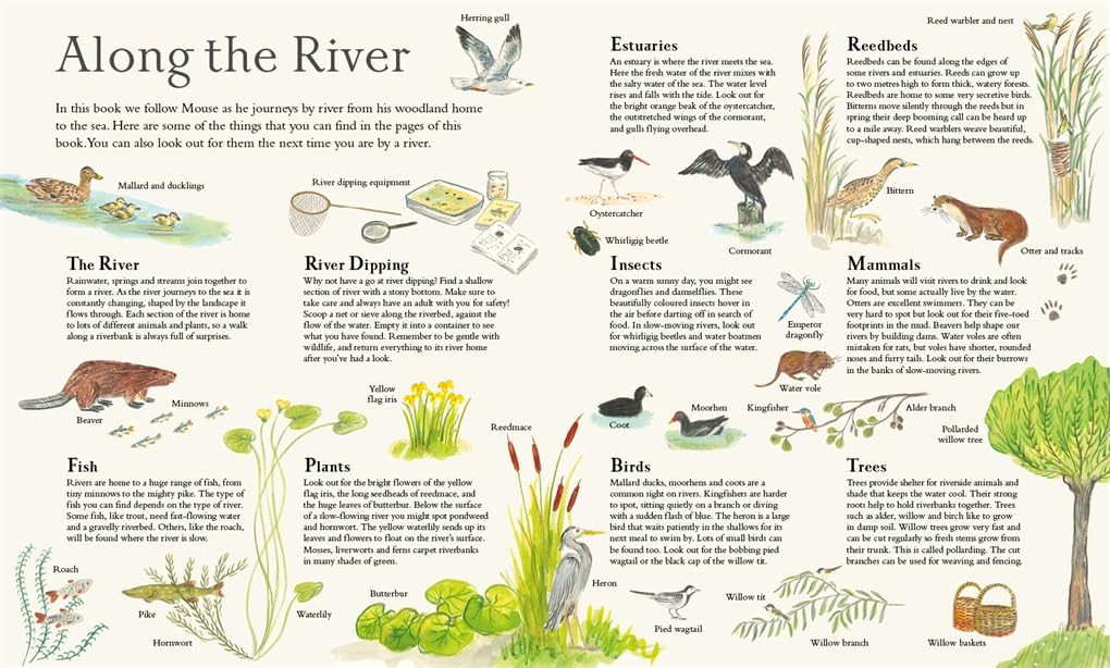 Mouse on the River: A Journey Through Nature: A Journey Through Nature
