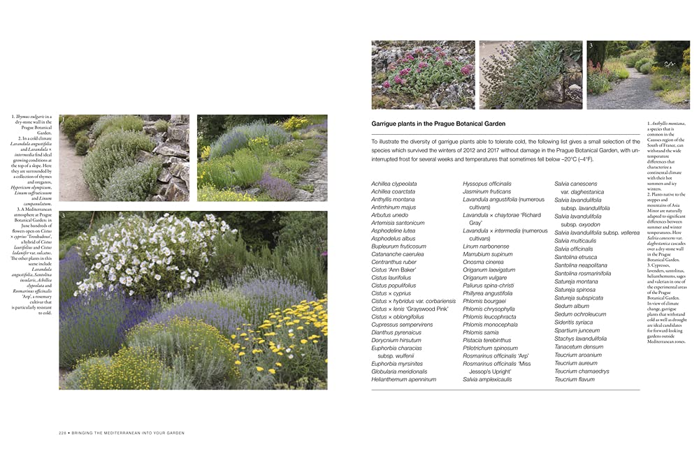 Bringing the Mediterranean Into Your Garden: How to Capture the Natural Beauty of the Mediterranean Garrigue: How to Capture the Natural Beauty of the Mediterranean Garrigue