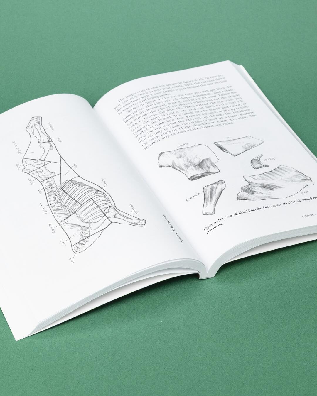 Basic Butchering of Livestock & Game: Beef, Veal, Pork, Lamb, Poultry, Rabbit, Venison