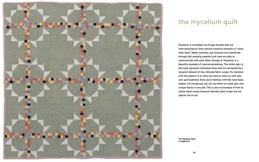 Farm & Folk Quilt Alchemy: A High-Country Guide to Natural Dyeing and Making Heirloom Quilts from Scratch: A High-Country Guide to Natural Dyeing and Making Heirloom Quilts from Scratch