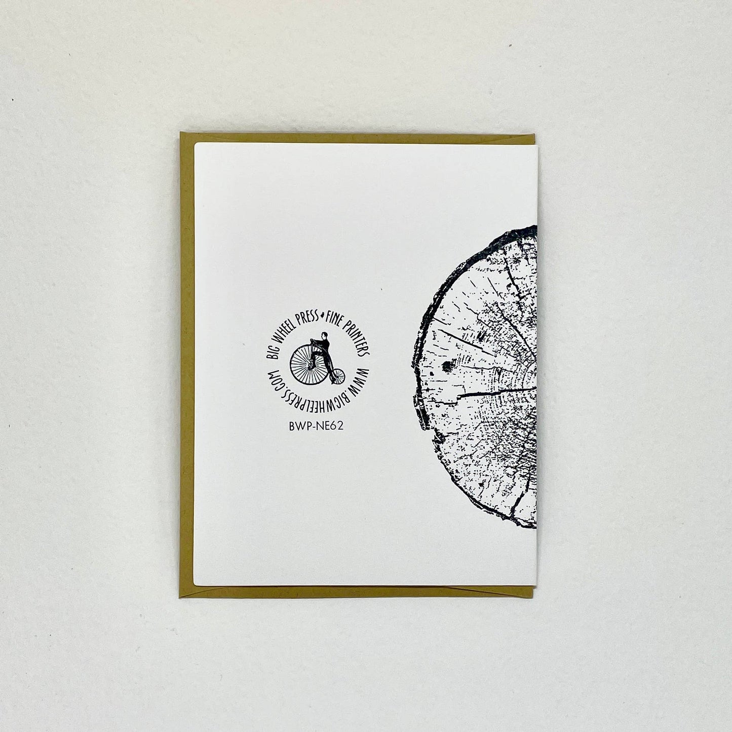 Everybody Needs Beauty - John Muir