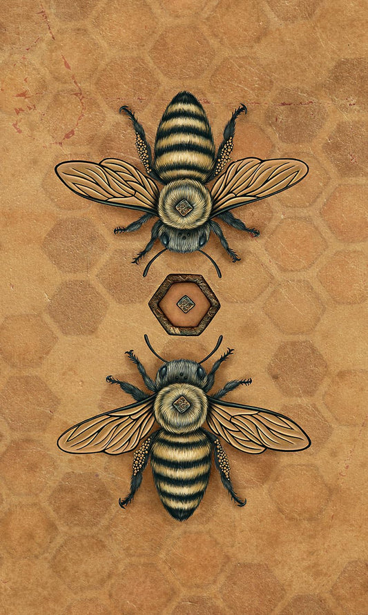 Bee Tarot by Kristoffer Hughes