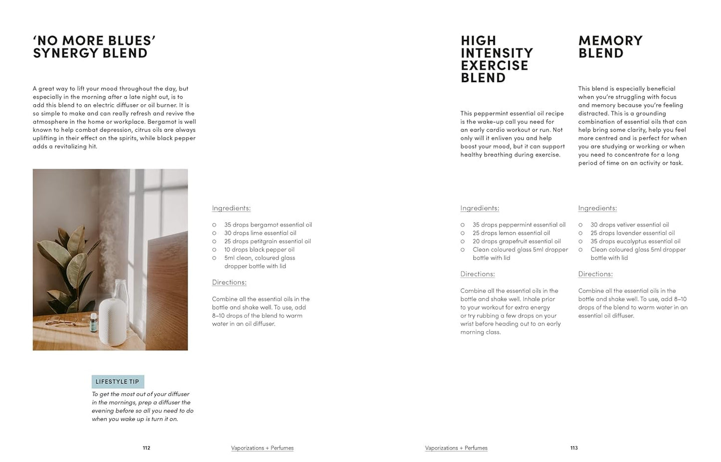 Mud, Salt and Medicine: Essential Oil Blends and Recipes for Natural Healing