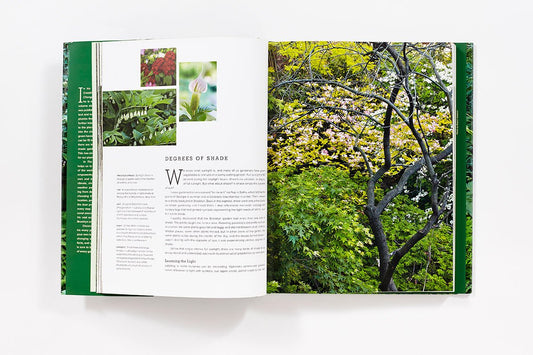 The New Shade Garden: Creating a Lush Oasis in the Age of Climate Change: Creating a Lush Oasis in the Age of Climate Change