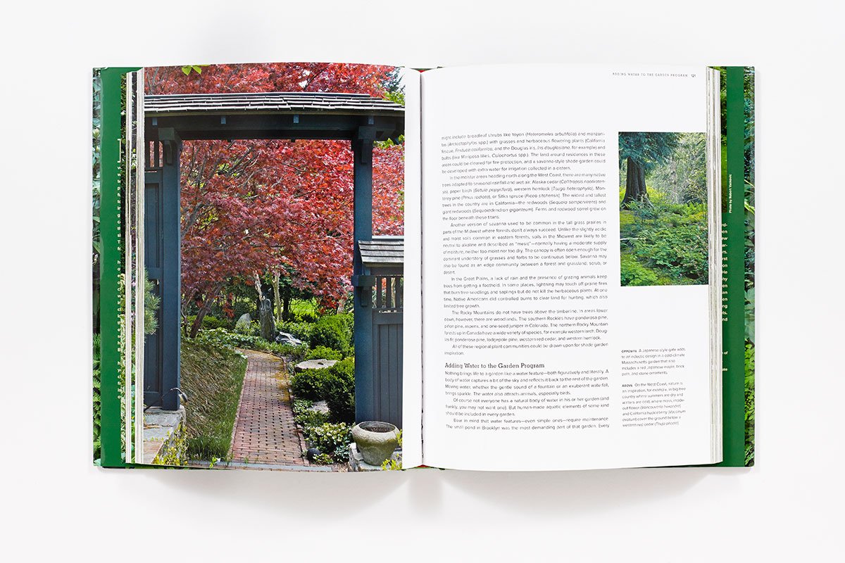 The New Shade Garden: Creating a Lush Oasis in the Age of Climate Change: Creating a Lush Oasis in the Age of Climate Change