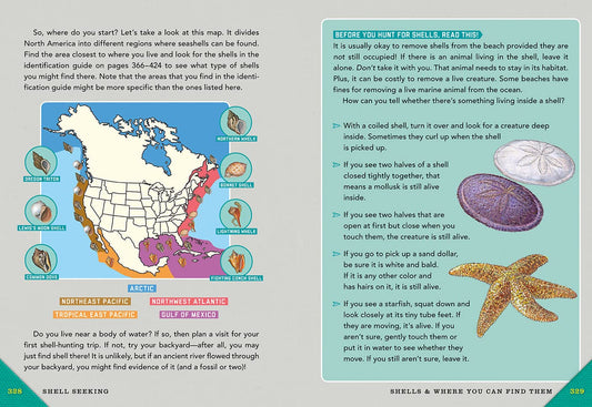 Outdoor School: Rock, Fossil, and Shell Hunting