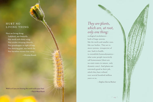 The Generosity of Plants: Shared Wisdom from the Community of Herb Lovers: Shared Wisdom from the Community of Herb Lovers