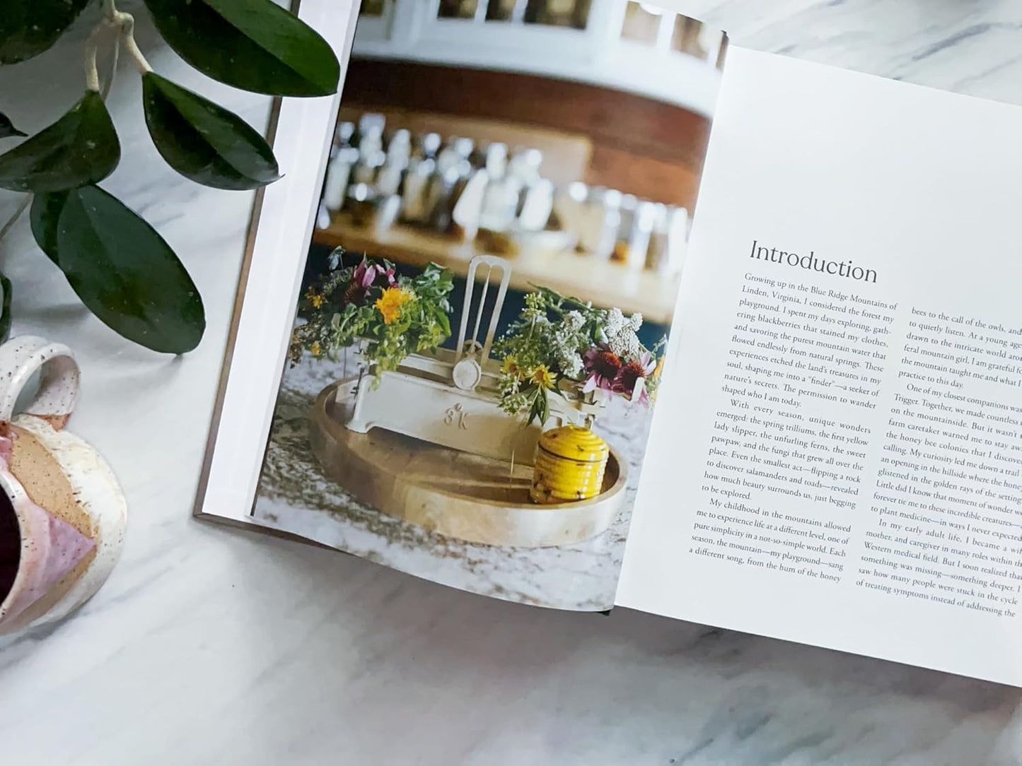 The Beekeeper's Apothecary: A Foundational Guide for Becoming Your Own Herbalist by Kaylee Richardson