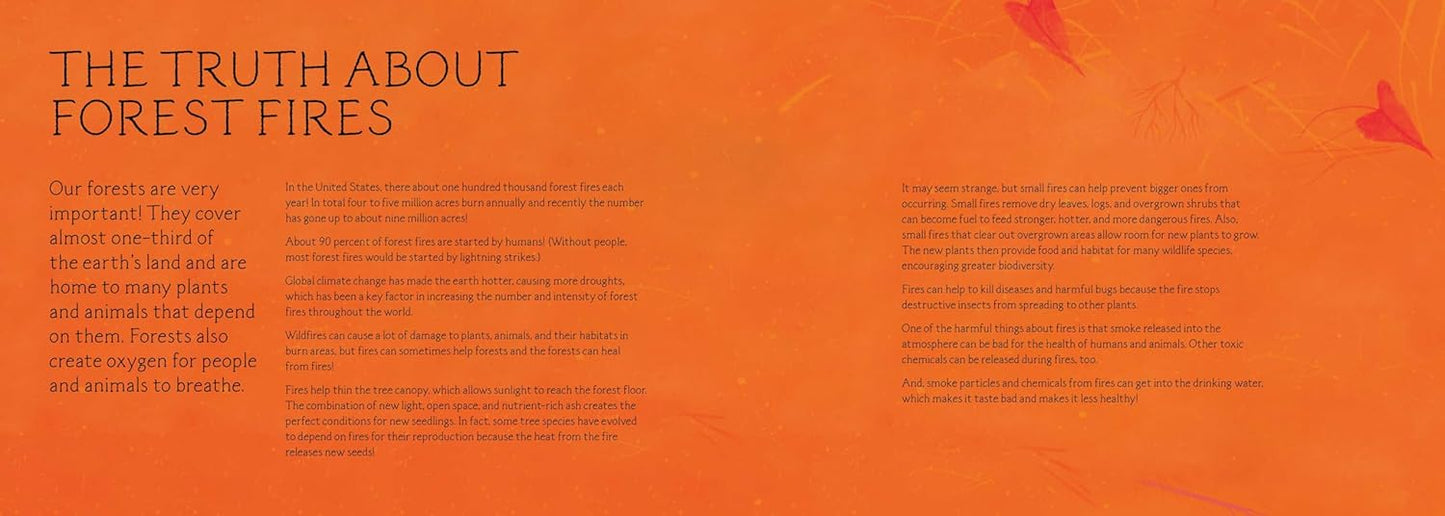 Waiting for the Dawn: A Tale of Forest Fires and Renewal by Fabiola Anchorena