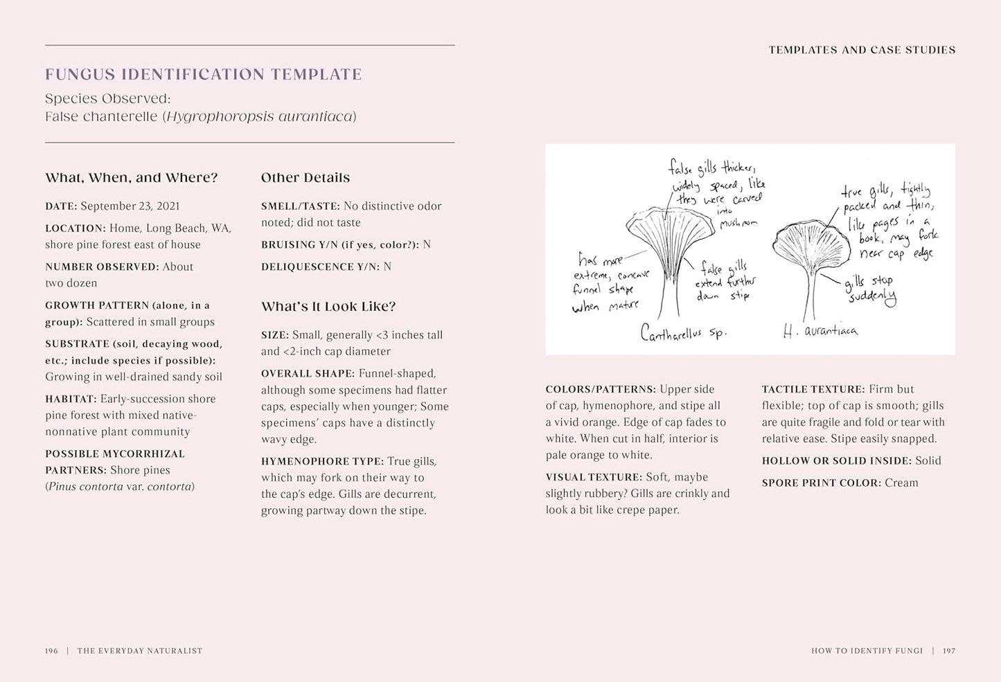 The Everyday Naturalist: How to Identify Animals, Plants, and Fungi Wherever You Go by Rebecca Lexa
