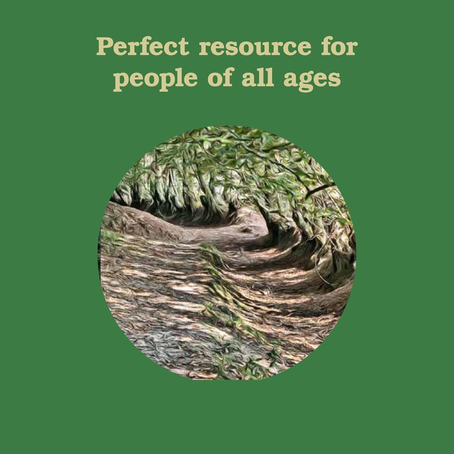 Forest School for Grown-Ups: Explore the Wisdom of the Woods by Richard Irvine