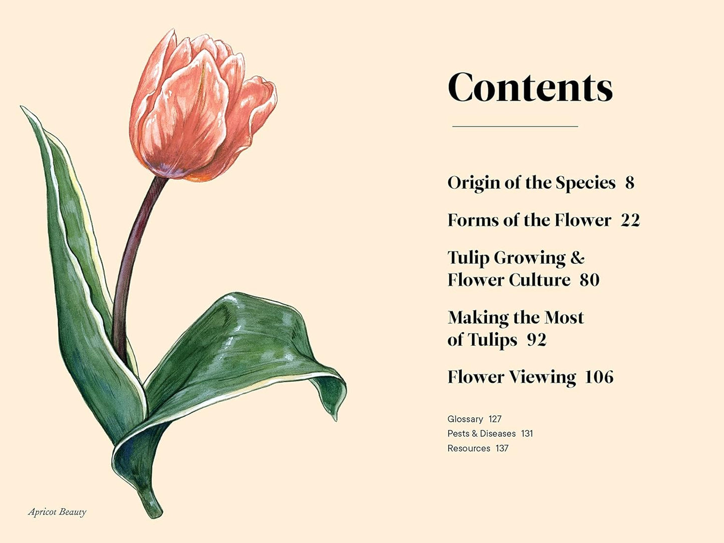 Tulips: A Little Book of Flowers: A Little Book of Flowers