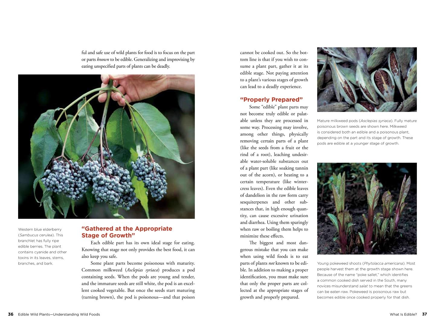 Edible Wild Plants: Wild Foods from Dirt to Plate Volume 1 by John Kallas, Phd