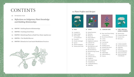 Held by the Land: A Guide to Indigenous Plants for Wellness: A Guide to Indigenous Plants for Wellness