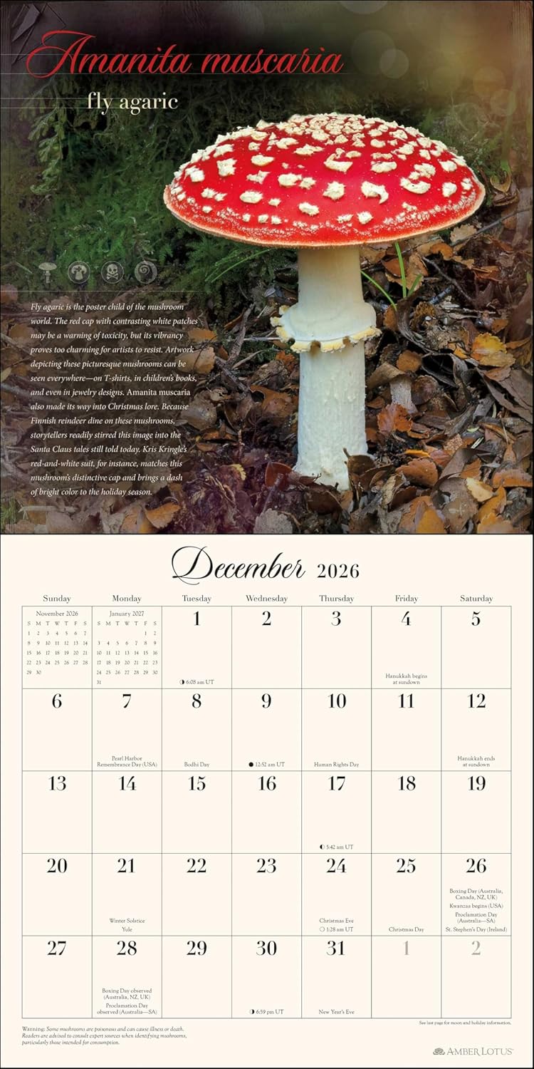 The Miraculous Mushroom 2026 Wall Calendar: With Fabulous Fungi Facts by Amber Lotus Publishing, Steve Axford (Photographer)