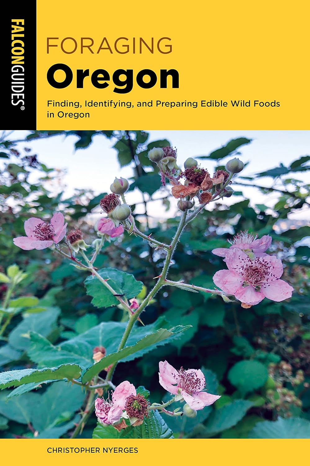 Foraging Oregon