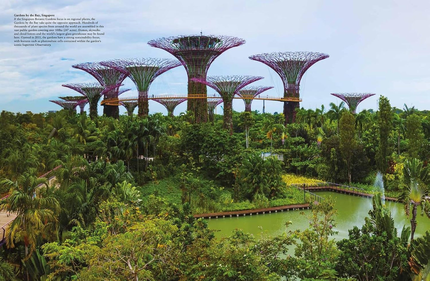 Amazing Gardens