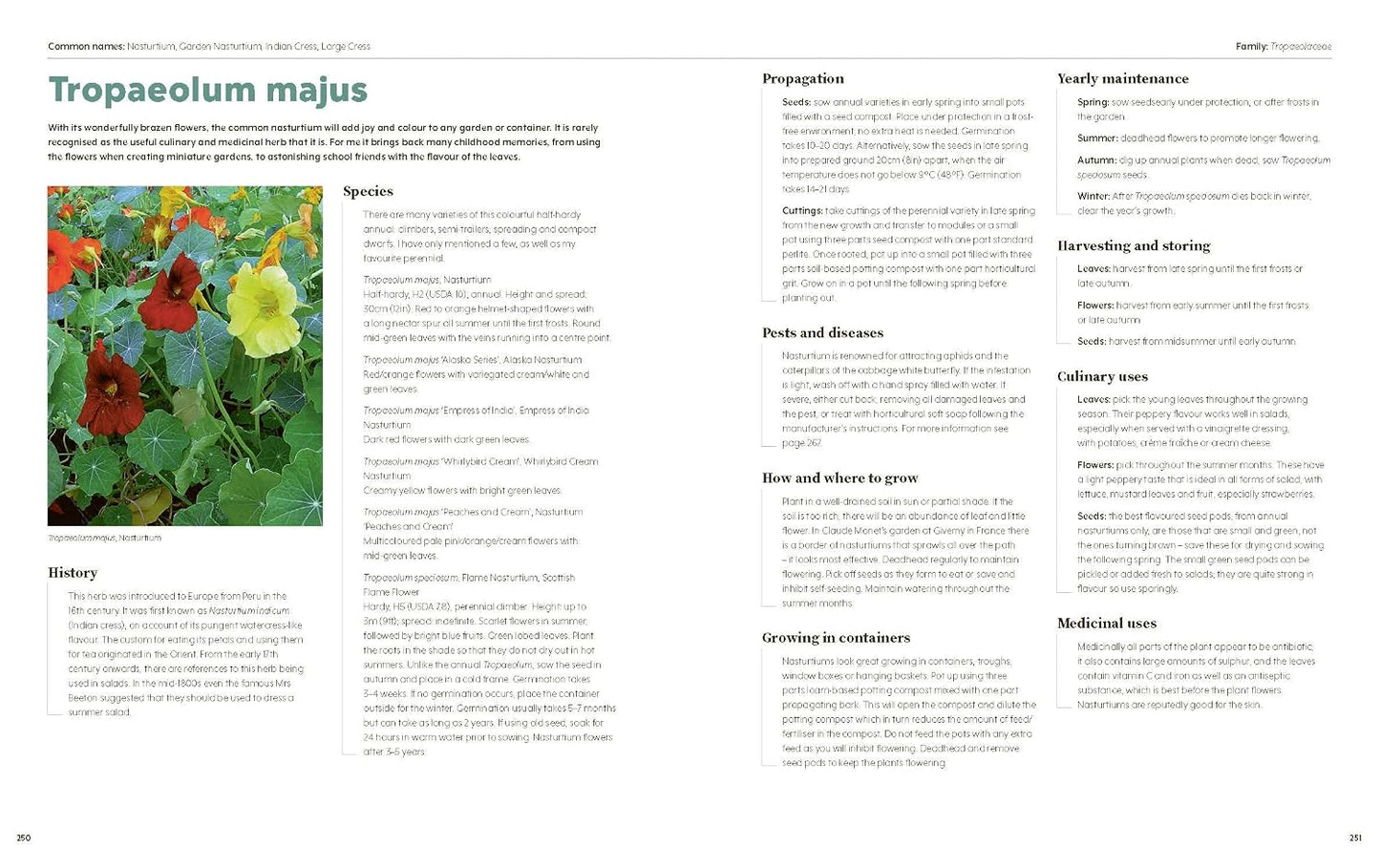 100 Herbs to Grow: A Comprehensive Guide to the Best Culinary and Medicinal Herbs