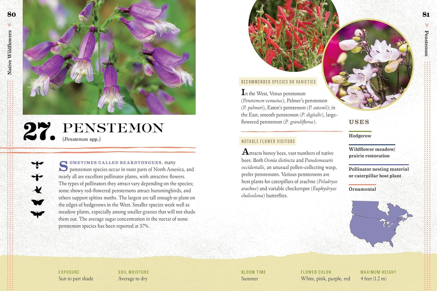 100 Plants to Feed the Bees: Provide a Healthy Habitat to Help Pollinators Thrive by The Xerces Society