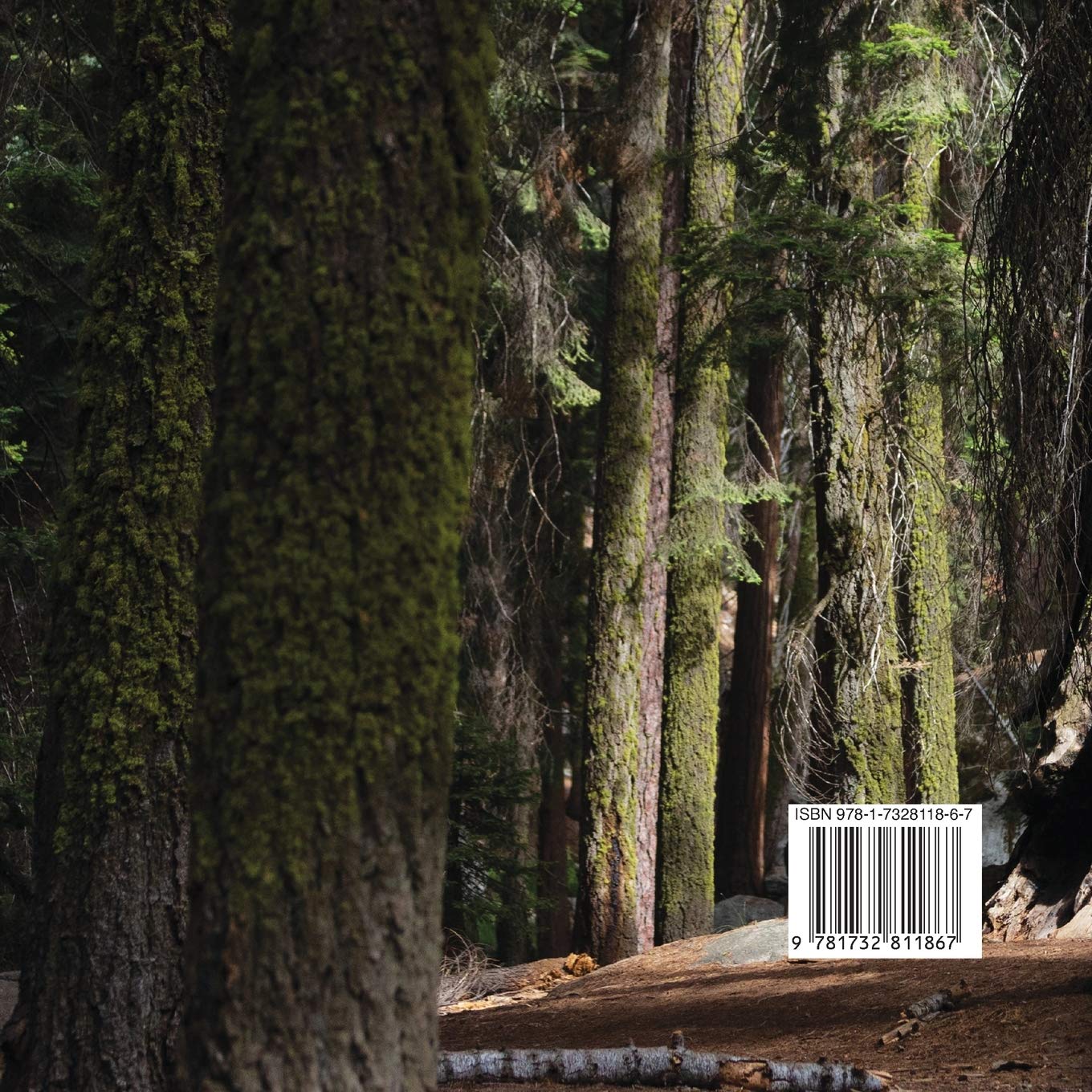 The Tree Guardian: A Tale of the Sequoia Forest: A Tale of the Sequoia Forest