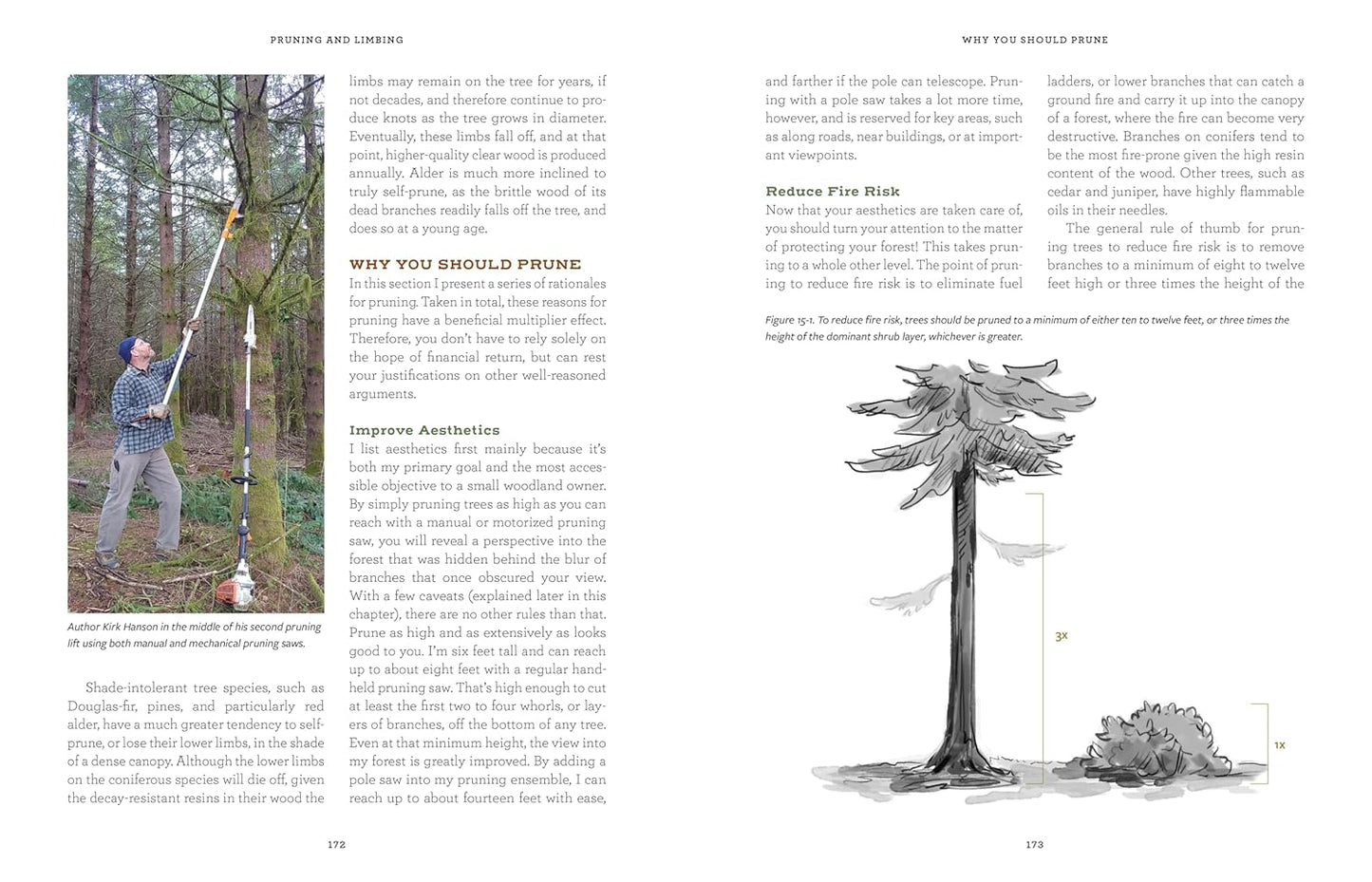 A Forest of Your Own: The Pacific Northwest Handbook of Ecological Forestry by Kirk Hanson & Seth Zuckerman