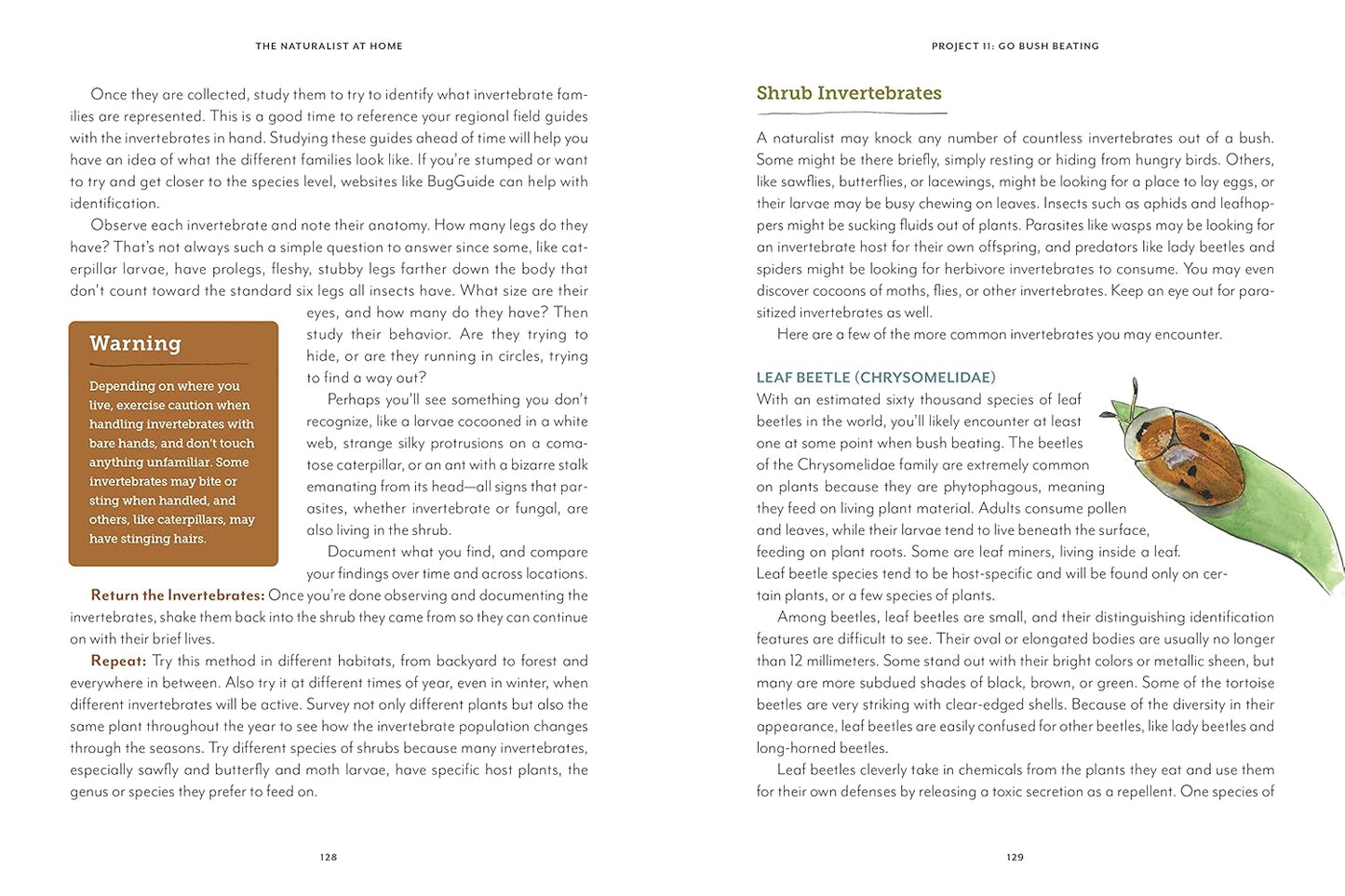 The Naturalist at Home: Projects for Discovering the Hidden World Around Us: Projects for Discovering the Hidden World Around Us