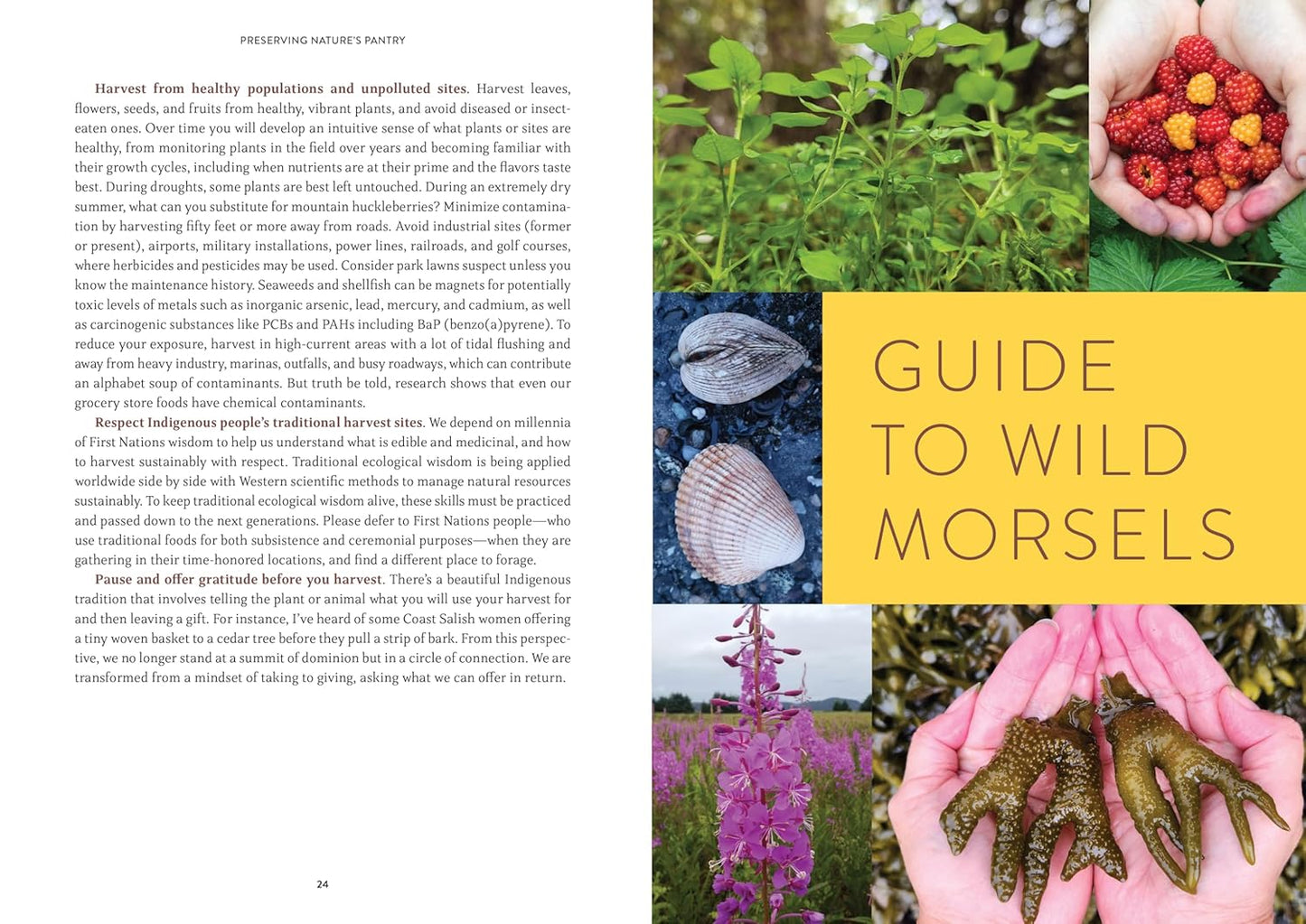 Pacific Harvest: A Northwest Coast Foraging Guide
