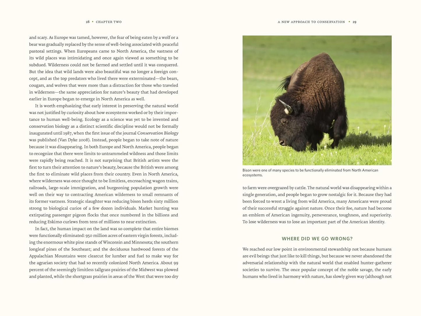 Nature's Best Hope: A New Approach to Conservation That Starts in Your Yard by Douglas W Tallamy