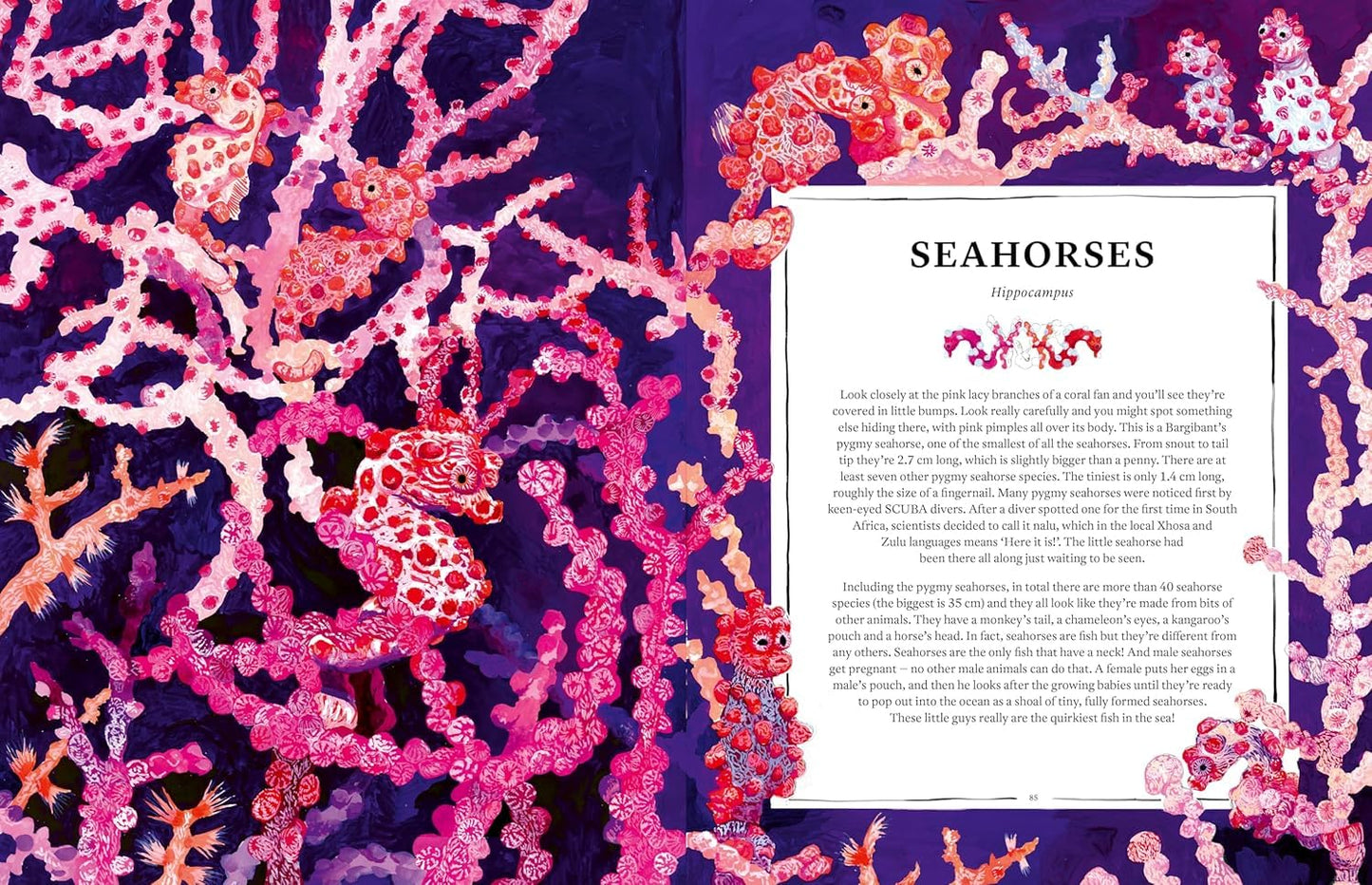 Oceanopedia: An Encyclopedia of Marine Creatures