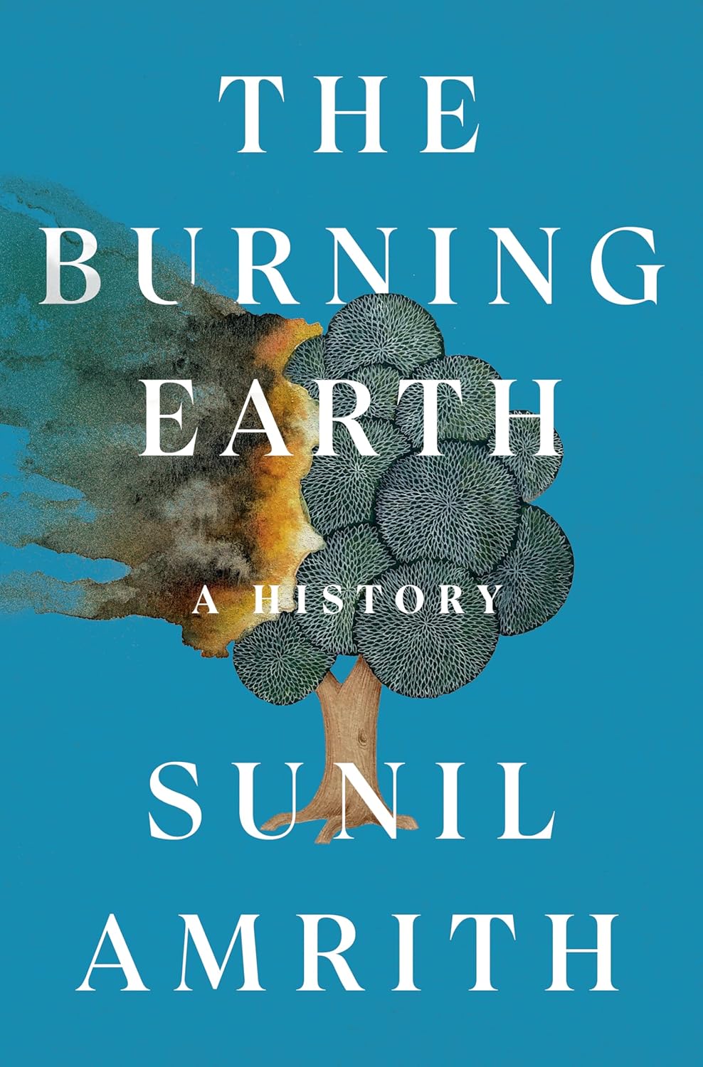 The Burning Earth: A History: A History