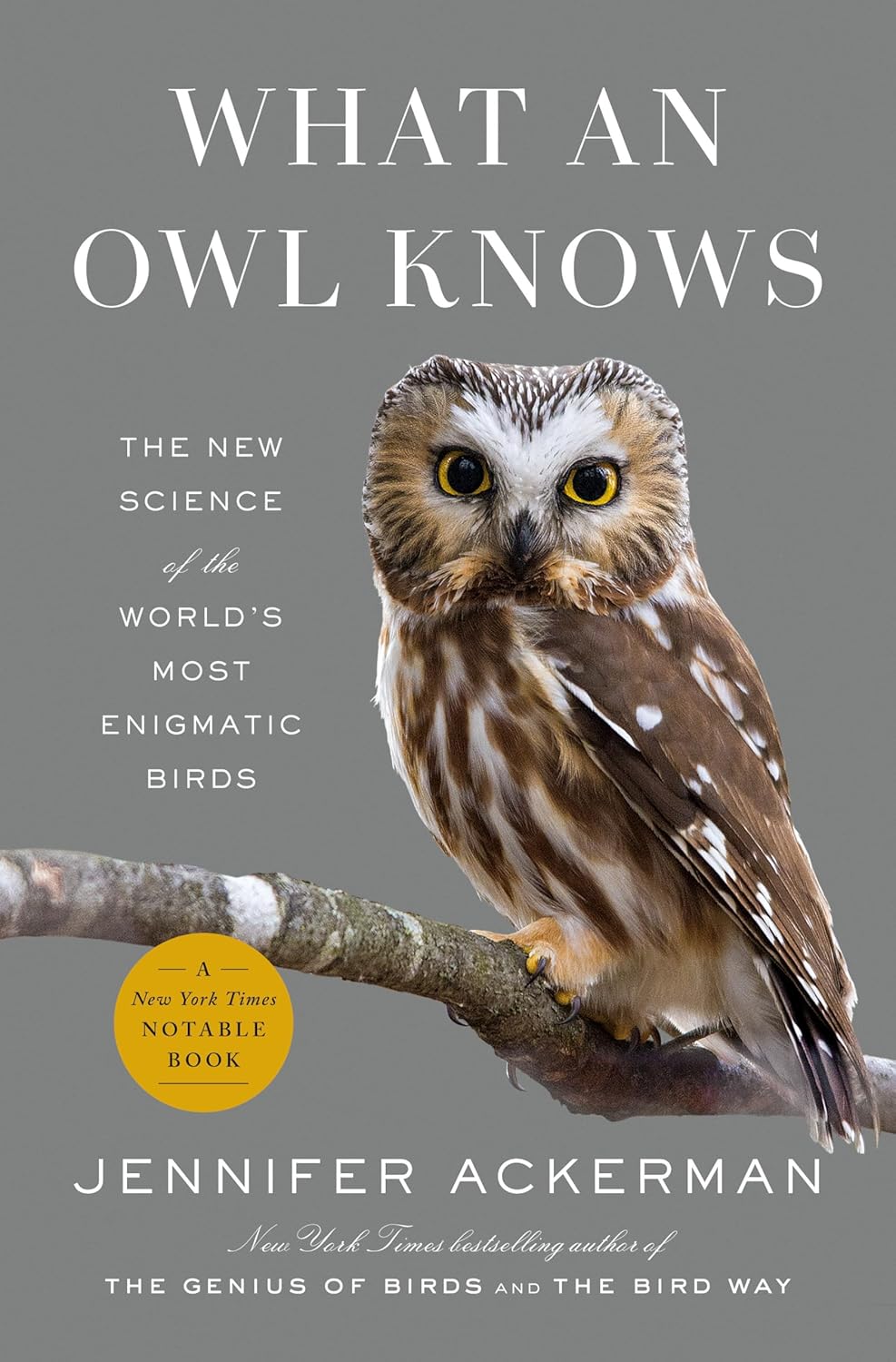 What an Owl Knows: The New Science of the World's Most Enigmatic Birds: The New Science of the World's Most Enigmatic Birds