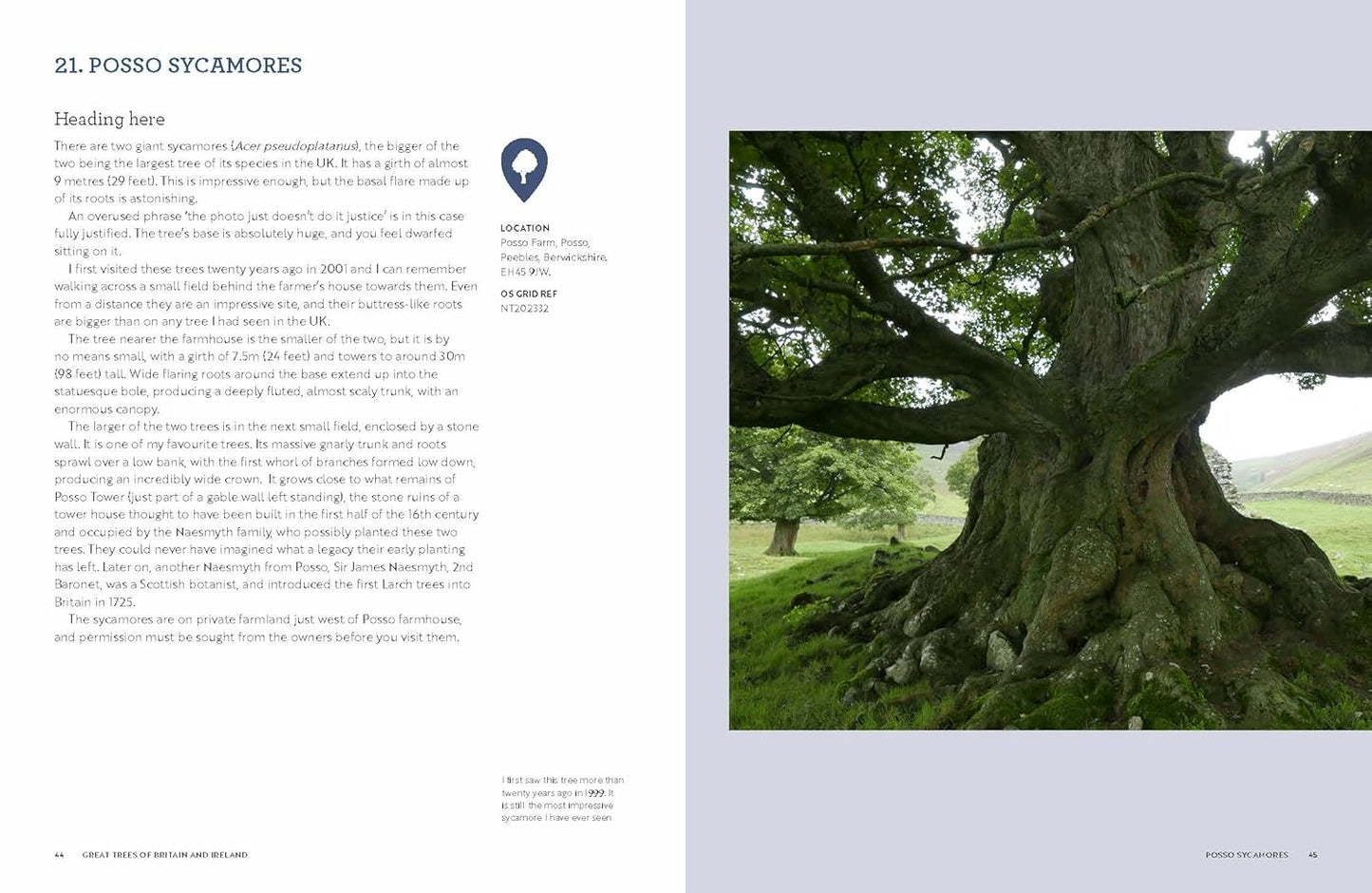 Great Trees of Britain and Ireland: 60 of the Best Ancient Avenues, Forests and Trees to Visit