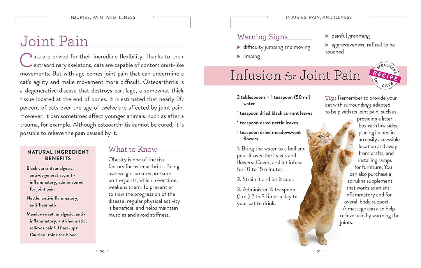 Wellness for Cats: A Guide for Health, Hygiene, and Happiness