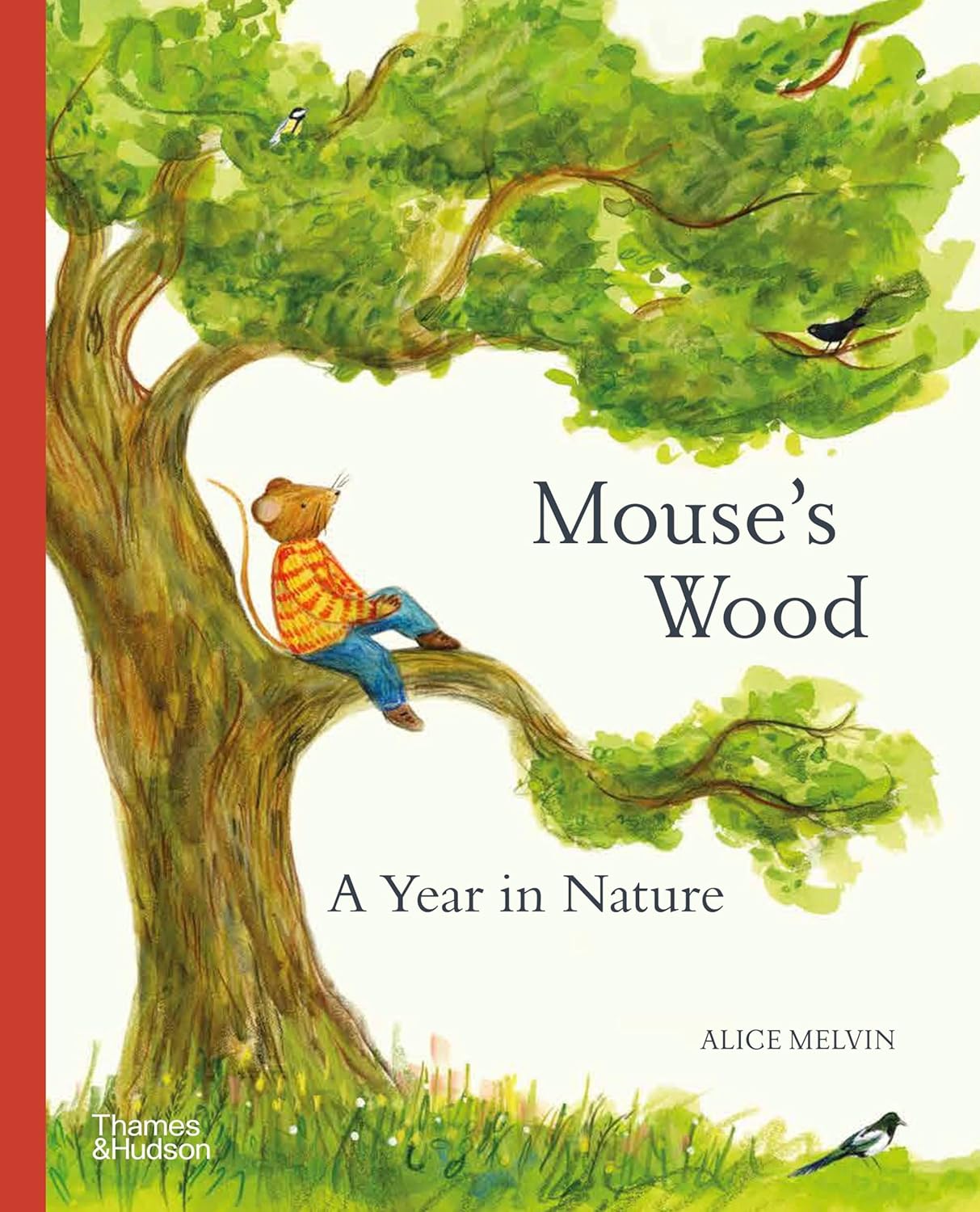 Mouse's Wood: A Year in Nature by Alice Melvin