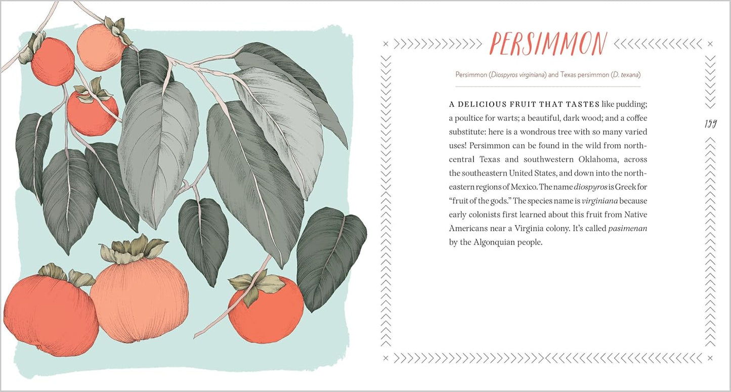 Cattail Moonshine & Milkweed Medicine: The Curious Stories of 43 Amazing North American Native Plants by Tammi Tammi Hartung