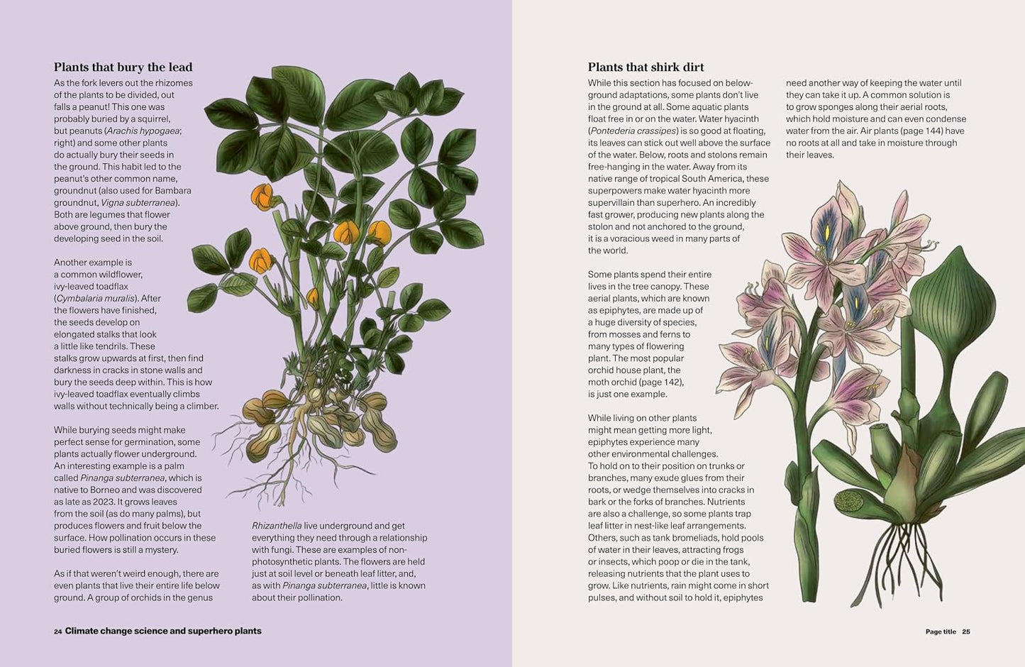 What to Grow for a Climate Resilient Garden: Practical Advice for Gardeners on Plants That Can Cope in All Climates