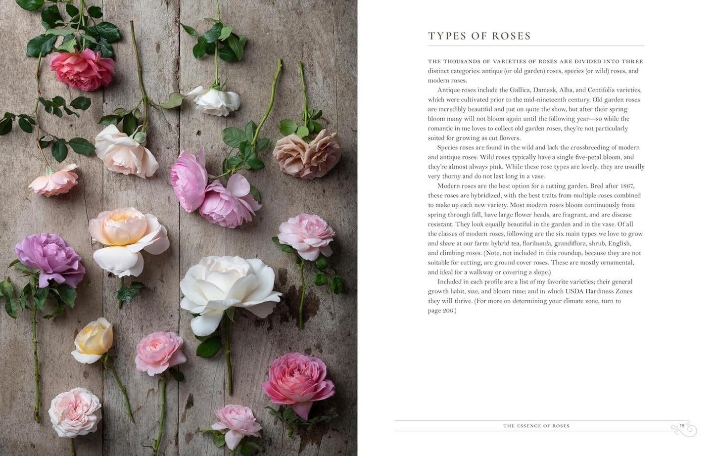 Grace Rose Farm: Garden Roses- The Complete Guide to Growing & Arranging Spectacular Blooms by Gracielinda Poulson