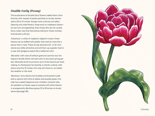 Tulips: A Little Book of Flowers: A Little Book of Flowers