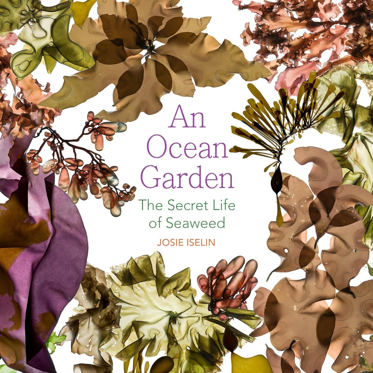 An Ocean Garden: The Secret Life of Seaweed by Josie Iselin