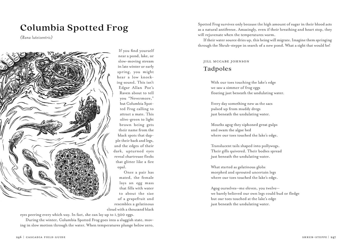 Cascadia Field Guide: Art, Ecology, Poetry by Elizabeth Bradfield, Cmarie Fuhrman & Derek Sheffield