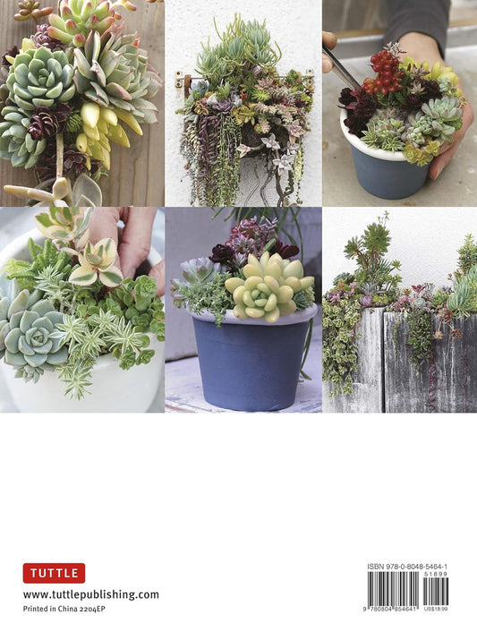 Succulents Made Easy: A Beginner's Guide (Featuring 200 Varieties): A Beginner's Guide (Featuring 200 Varieties)